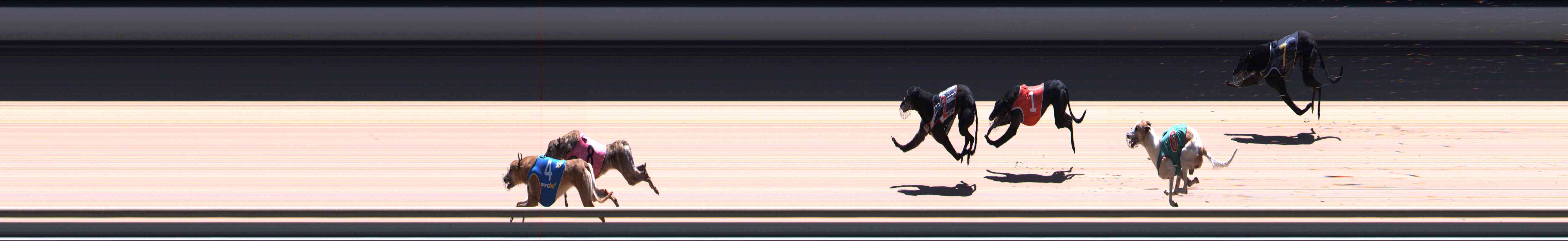 Race result finish photo